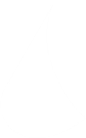 Vision